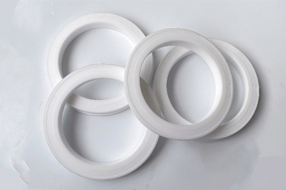 قابل تعویض آسان نصب 80 نایتریل PTFE چکش اتحادیه لب مهر گيسکت / حلقه