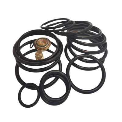 90 Shore یک کیت O-Ring با AP تنظیم کامپکت ابزار مهر و موم ضد نشت