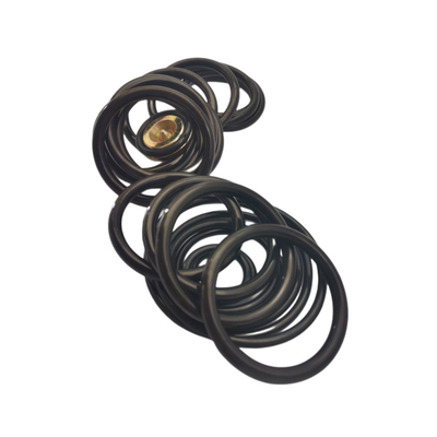 Oilfield AS568 NBR FKM Rubber Seal Kits # 10 Setting Tool