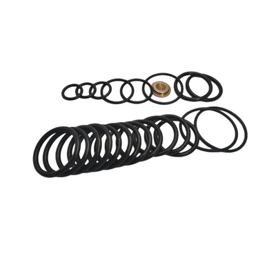 Oilfield AS568 NBR FKM Rubber Seal Kits # 10 Setting Tool