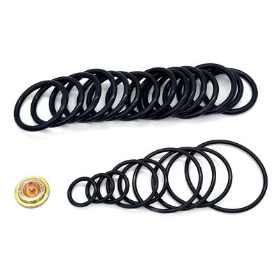 15کیت بسته بندی 1000 PSI برای ابزار تنظیم فشار #10 - کیت اصلاح سازگار با نفت خام با کیت های آداپتور سیم (WAK)