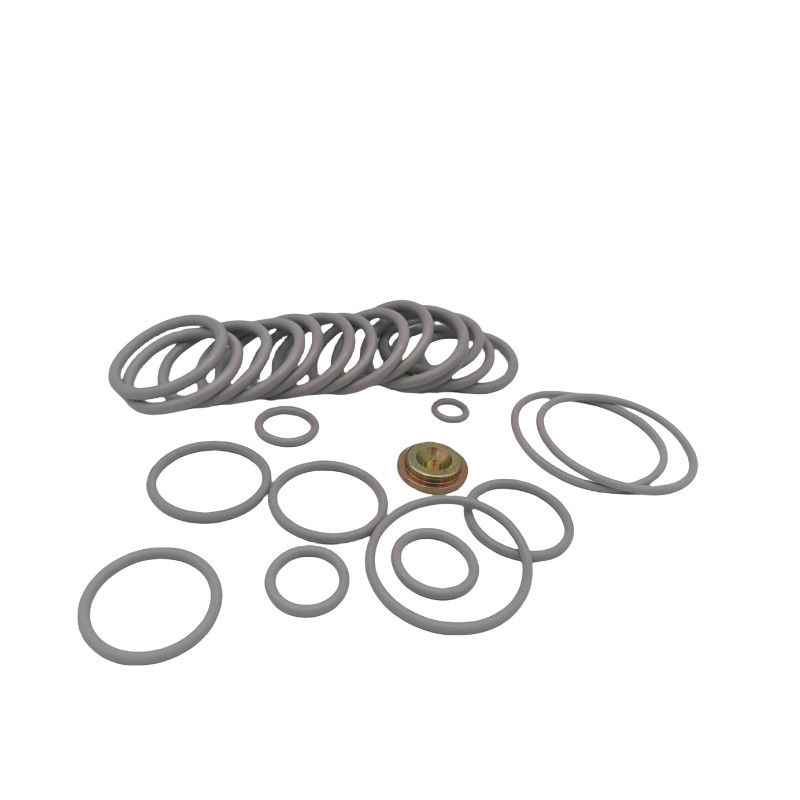 # 10 BP3.SEC کیت های آداپتور سیم کشی لاستیک O Ring Seal Kit برای صنعت نفت و گاز