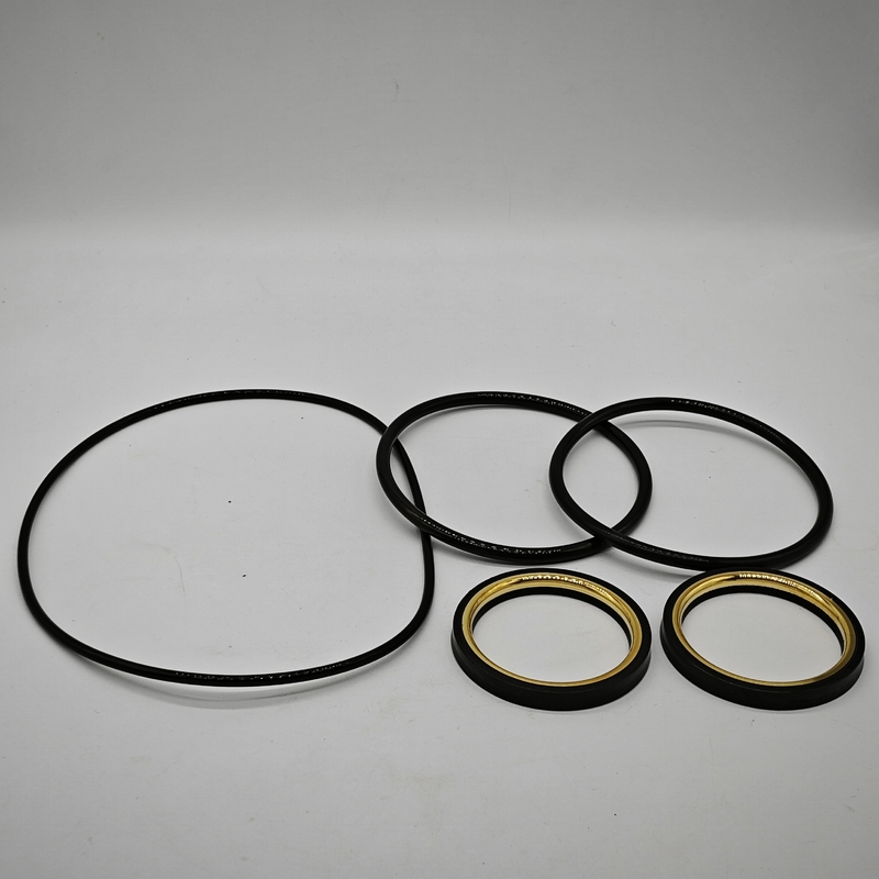 1" 2" 3" مقاومت شیمیایی NBR HNBR FKM مهر و موم های شیر فلک