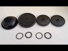 دیافراگم پمپ یک بخش مهر و موم حیاتی در پمپ های دیافراگم و باتری های هیدرولیک است که اطمینان از کارایی